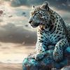 usman.sagar48