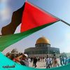 mohammed.tarek500