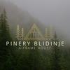 Pinery Blidinje A-Frame House