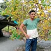 ok.hong.thanh