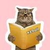 اكادمية الوزاري 📚
