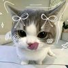 catlover__1238