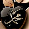 user7560704074080