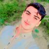 ali_arman511