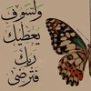 user5274551175666