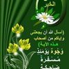bashir.adam84