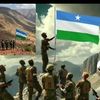 bishar.bishar.qal