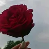 a_b_t_62