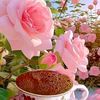 user1172014857448