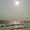 raphal2487