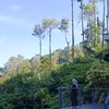 teh.nanah09