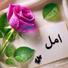 amal38301