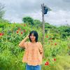 thaya.phu6