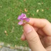 dua_hau2002