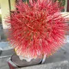 thithanh1006