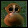 livloudly8
