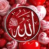 user29196638104620