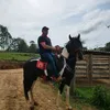 alessandro.perdom7