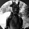 herzenspony_orlando