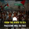 freefreepalestineandgaza