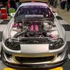 alejandrozarza623