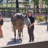 that_equestrian_bell