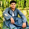 ahmad.shehata95