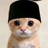 mhmmd.faisal82