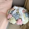 rosemira_2406