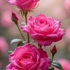 andi.rosdiana8