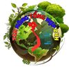 Tin Nóng Tổng Hợp 24h