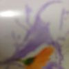 drago3834