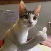 huy_dz_123