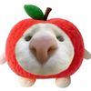 mmm.tikok.com9