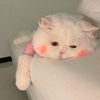 phew_phiu