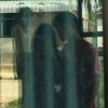 chinathip_08o