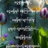 phothar41