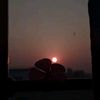 faridabegum7418
