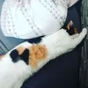 honeybunn170