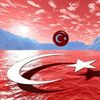 yelesen.57