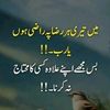 shabbir.hussain.j
