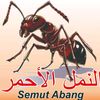 bocahgemblung378