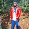 user74353480041571