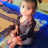 rasheedahmad6987