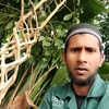 hossain.ali101