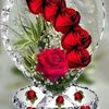 nohemimendez13