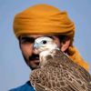 uzair_jan_333