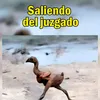 ruben.yunyacasa