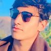 ptikarim804