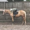 fordbank_eq2